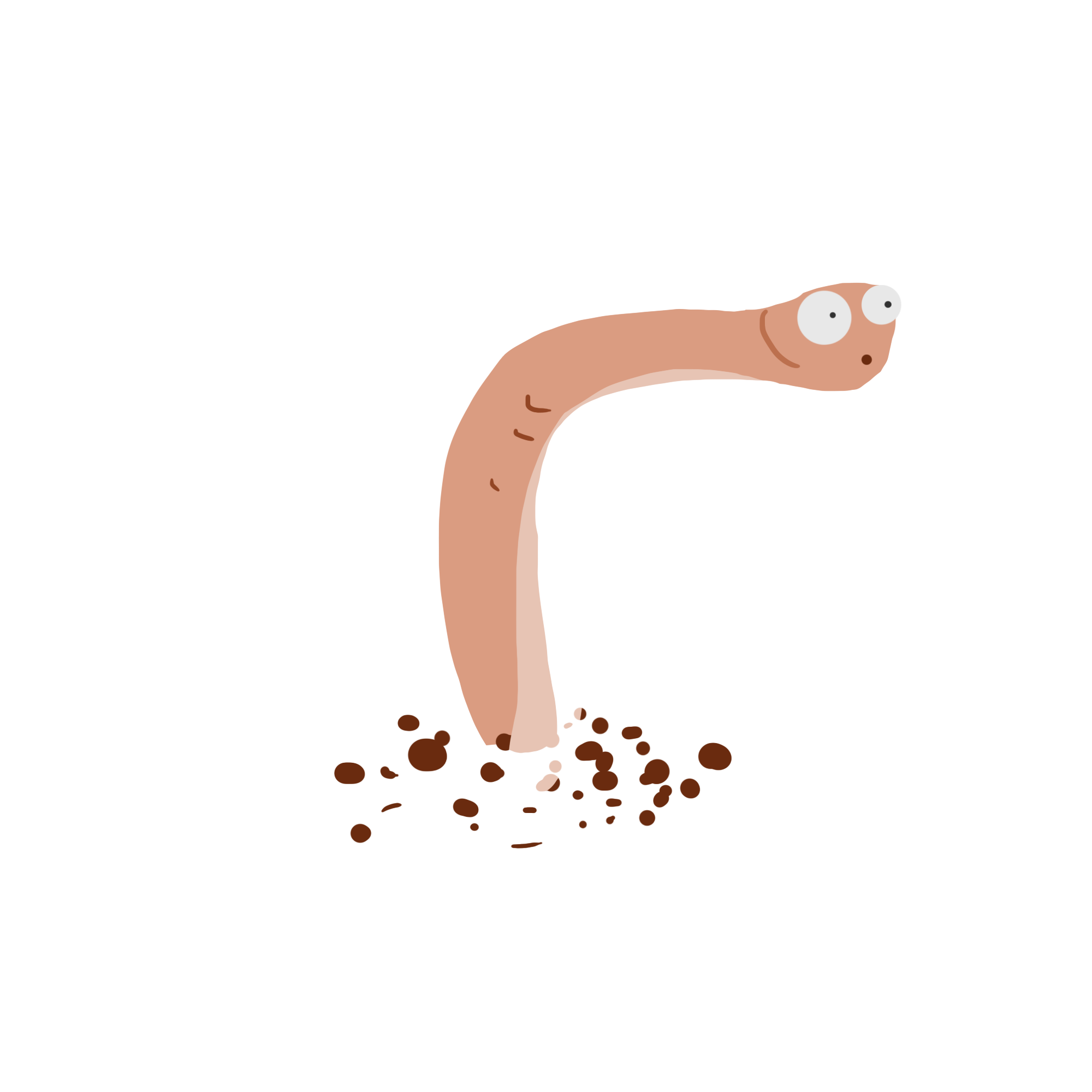 阴茎上的小蚯蚓——阴茎硬化性淋巴炎