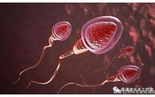 精子走向死亡的4个途径