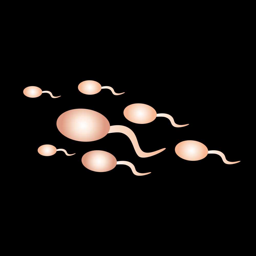 【科普】精液异常、质量差，备孕失败也可能是男人的问题