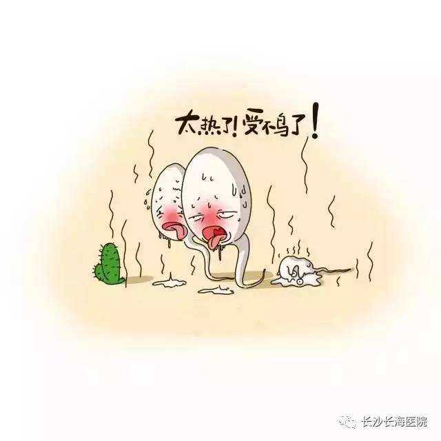 “精索静脉曲张”三大危害,值得我们关注!